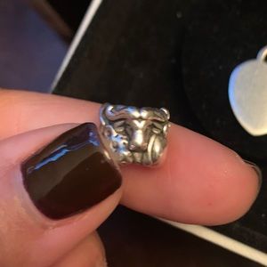 Pandora Retired Jungle Safari Charm